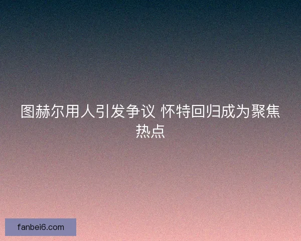 图赫尔用人引发争议 怀特回归成为聚焦热点